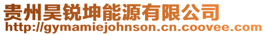 貴州昊銳坤能源有限公司