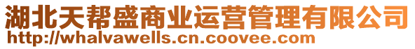 湖北天幫盛商業(yè)運(yùn)營管理有限公司