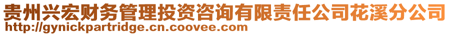 貴州興宏財務管理投資咨詢有限責任公司花溪分公司