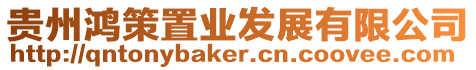 貴州鴻策置業(yè)發(fā)展有限公司