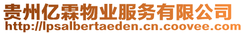 貴州億霖物業(yè)服務(wù)有限公司