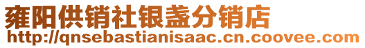 雍陽(yáng)供銷社銀盞分銷店