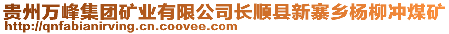 貴州萬(wàn)峰集團(tuán)礦業(yè)有限公司長(zhǎng)順縣新寨鄉(xiāng)楊柳沖煤礦