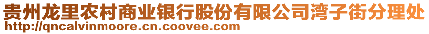 貴州龍里農(nóng)村商業(yè)銀行股份有限公司灣子街分理處