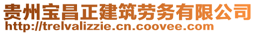 贵州宝昌正建筑劳务有限公司