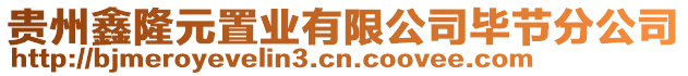 貴州鑫隆元置業(yè)有限公司畢節(jié)分公司