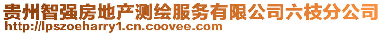 貴州智強房地產測繪服務有限公司六枝分公司