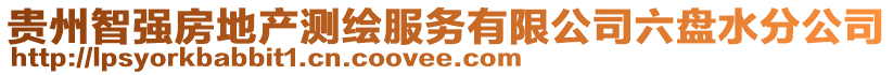 貴州智強(qiáng)房地產(chǎn)測繪服務(wù)有限公司六盤水分公司