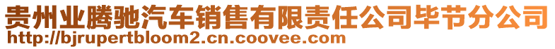 貴州業(yè)騰馳汽車(chē)銷(xiāo)售有限責(zé)任公司畢節(jié)分公司