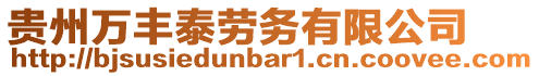 貴州萬豐泰勞務有限公司
