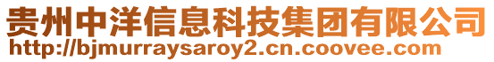 貴州中洋信息科技集團有限公司