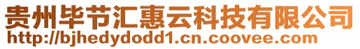 貴州畢節(jié)匯惠云科技有限公司