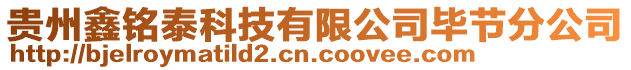 貴州鑫銘泰科技有限公司畢節分公司