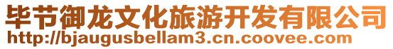 畢節御龍文化旅游開發有限公司