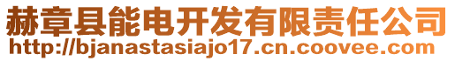 赫章縣能電開發有限責任公司