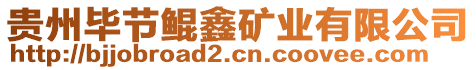貴州畢節鯤鑫礦業有限公司