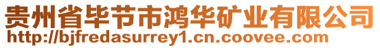 貴州省畢節市鴻華礦業有限公司