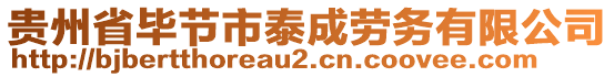 貴州省畢節(jié)市泰成勞務(wù)有限公司