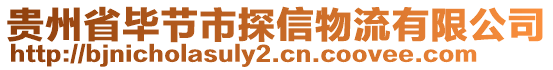 貴州省畢節市探信物流有限公司
