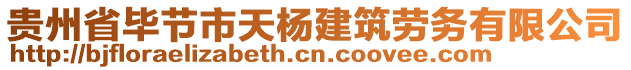 貴州省畢節(jié)市天楊建筑勞務(wù)有限公司