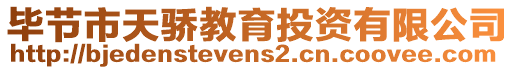 畢節(jié)市天驕教育投資有限公司