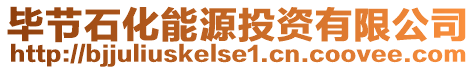 畢節(jié)石化能源投資有限公司