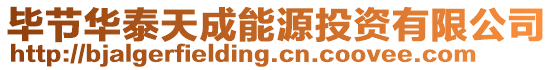 畢節華泰天成能源投資有限公司