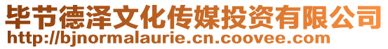 畢節(jié)德澤文化傳媒投資有限公司