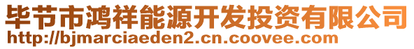 畢節市鴻祥能源開發投資有限公司