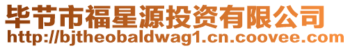 畢節市福星源投資有限公司