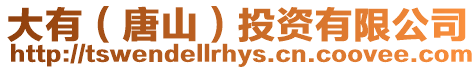 大有(唐山)投資有限公司