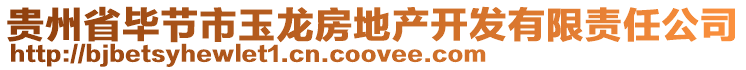 貴州省畢節市玉龍房地產開發有限責任公司