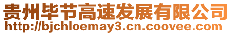 貴州畢節(jié)高速發(fā)展有限公司