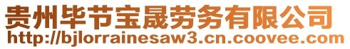 貴州畢節寶晟勞務有限公司