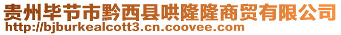 貴州畢節市黔西縣哄隆隆商貿有限公司