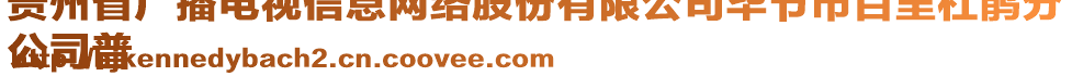 貴州省廣播電視信息網絡股份有限公司畢節市百里杜鵑分
公司普