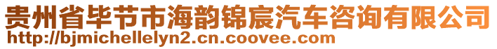 貴州省畢節市海韻錦宸汽車咨詢有限公司