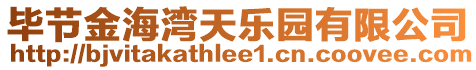 畢節金海灣天樂園有限公司