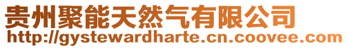 貴州聚能天然氣有限公司