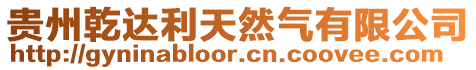 貴州乾達利天然氣有限公司