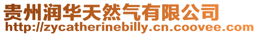 貴州潤華天然氣有限公司