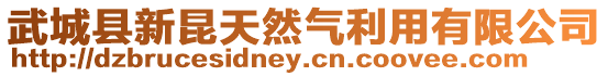 武城縣新昆天然氣利用有限公司