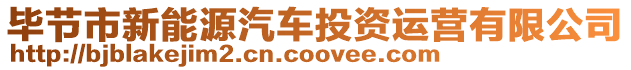 畢節(jié)市新能源汽車(chē)投資運(yùn)營(yíng)有限公司