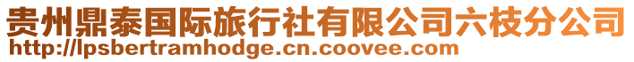 貴州鼎泰國際旅行社有限公司六枝分公司