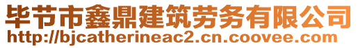 畢節市鑫鼎建筑勞務有限公司