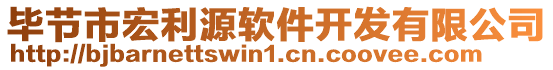 畢節(jié)市宏利源軟件開發(fā)有限公司