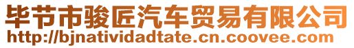 畢節市駿匠汽車貿易有限公司