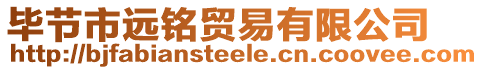 畢節市遠銘貿易有限公司