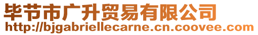 畢節(jié)市廣升貿(mào)易有限公司