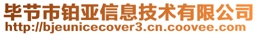 畢節(jié)市鉑亞信息技術(shù)有限公司